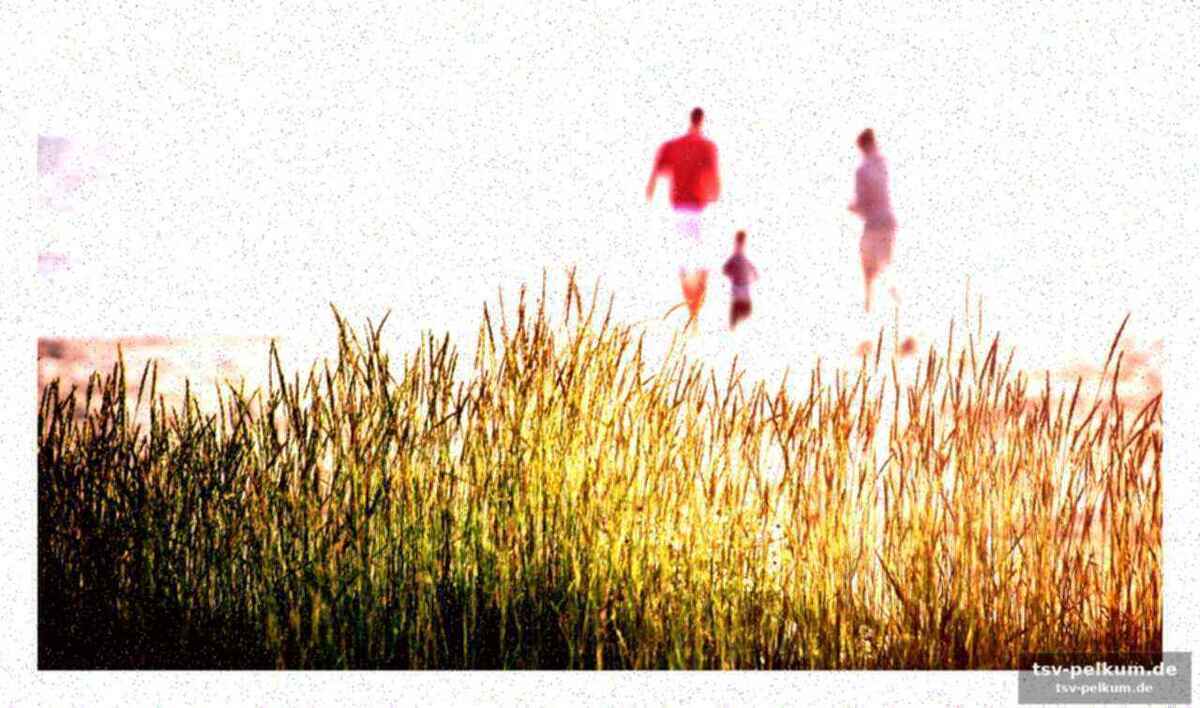 Faulheit als trainingsplan