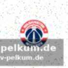 Aktuelle news zum team