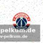 Der kader im detail: spieler und verträge