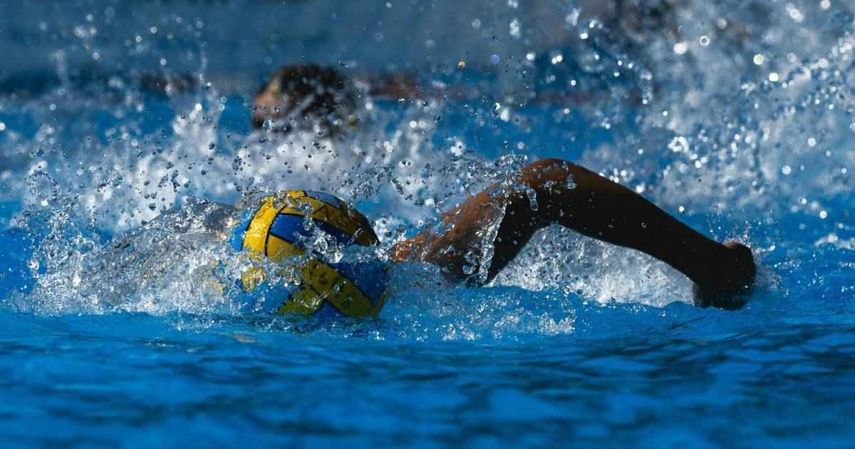 Waspo hannover feiert triumpf: 16. meistertitel perfekt!