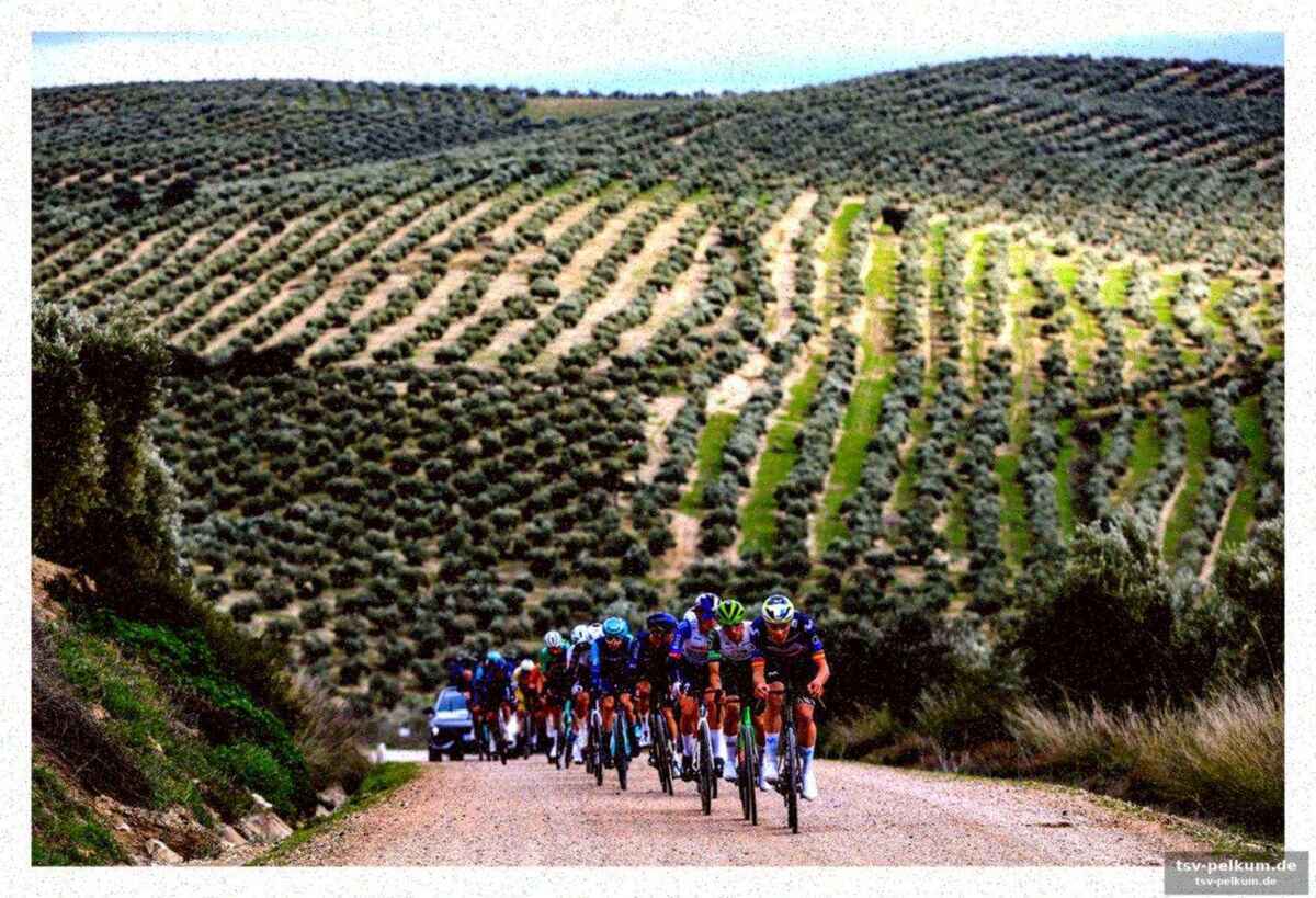 Wellens
