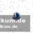 Hornets auf siegesserie-kurs