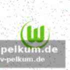 Die suche nach verstärkung im winter