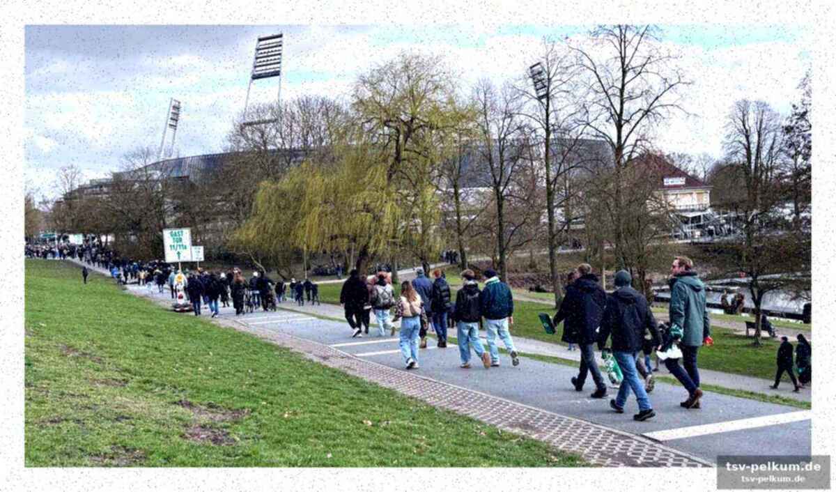 Der endspurt im faktencheck