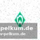 Top-kandidat: bo henriksen – der retter in der not?