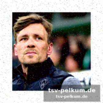Transferflops der vergangenheit: lernt werder aus seinen fehlern?