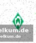 Warum gutmann die perfekte lösung ist