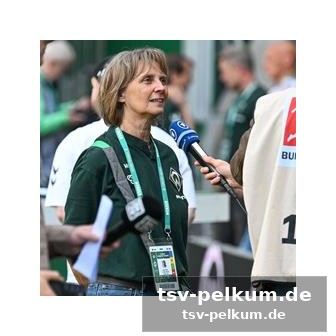 Standards: ein schwachpunkt der bremer