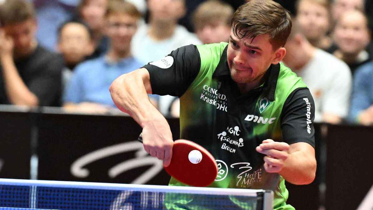 Werder bremen schlägt zurück: tischtennis-team gleichpunktet mit düsseldorf