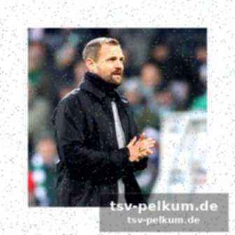 Was sagt clemens fritz?