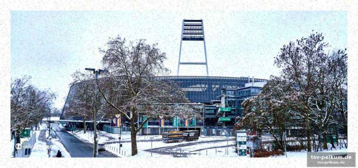 Neuer trainer für werder bremen: daniel thioune übernimmt