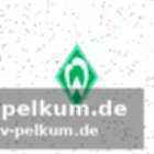 Milosevic und topp blieben auf der bank