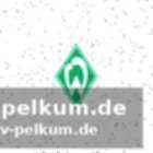 Hecking als mögliche übergangslösung?