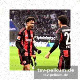 Ausblick: abstiegskracher für bremen, bayern empfängt frankfurt