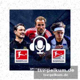 Statistik zum spiel