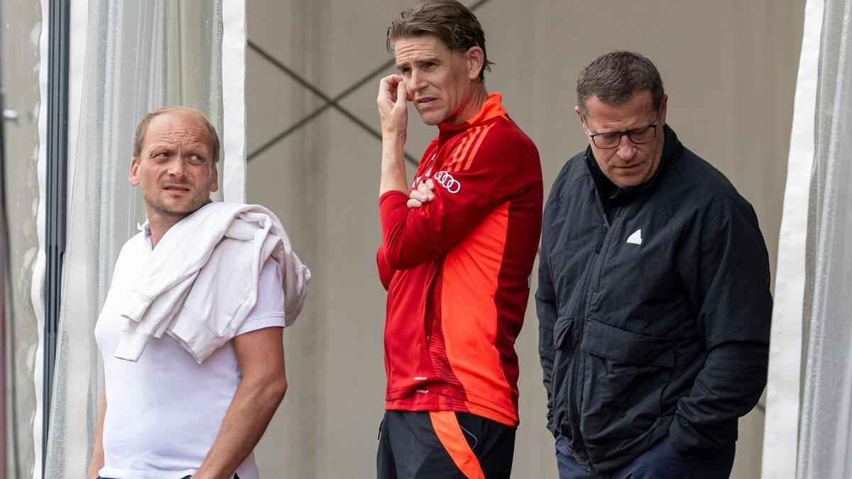 Werder holt pilawa: bayern- und bvb-erfahrung für die kaderplanung!
