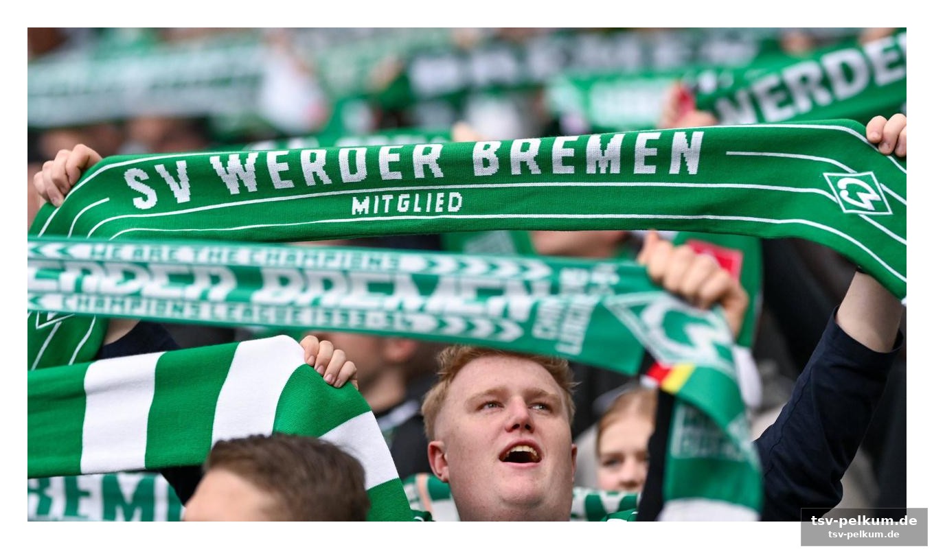 Die zahlen, die stechen: was werder-fans künftig investieren müssen