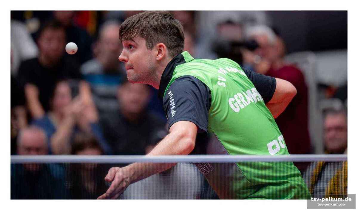 Fünf wochen bis zum final-four in frankfurt