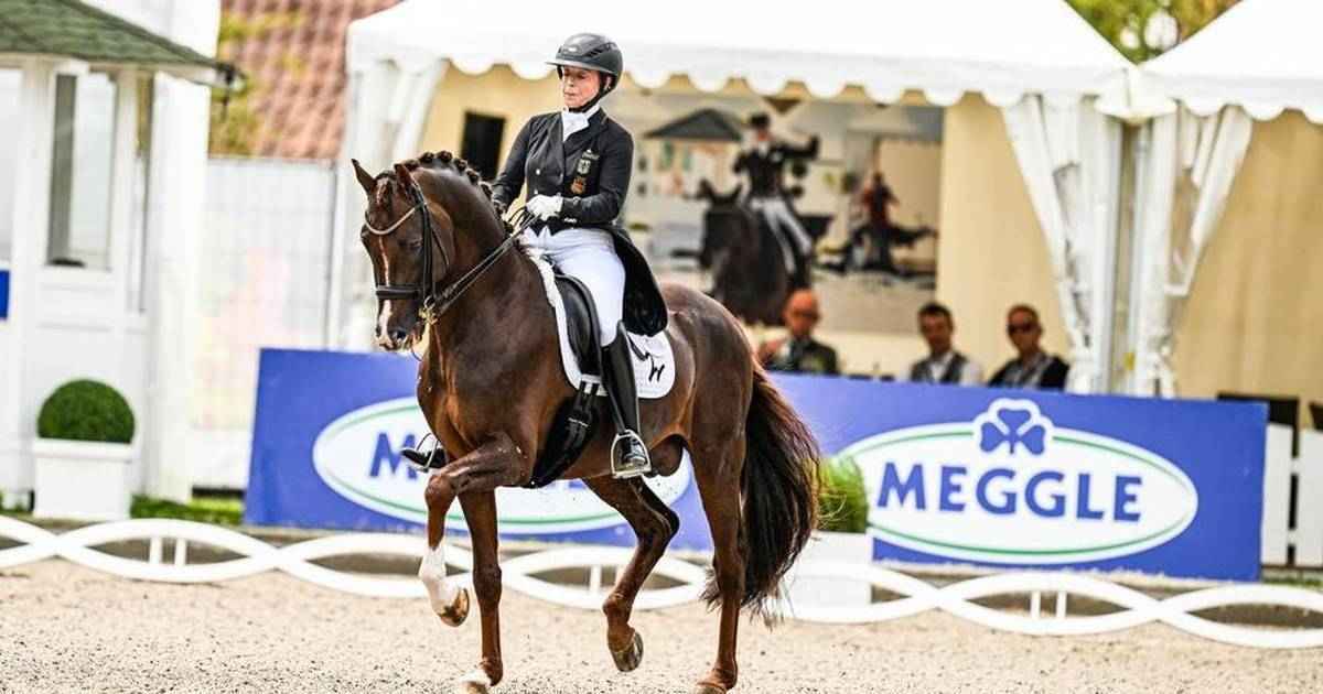 Werth dominiert in balve: 19. meistertitel perfekt!