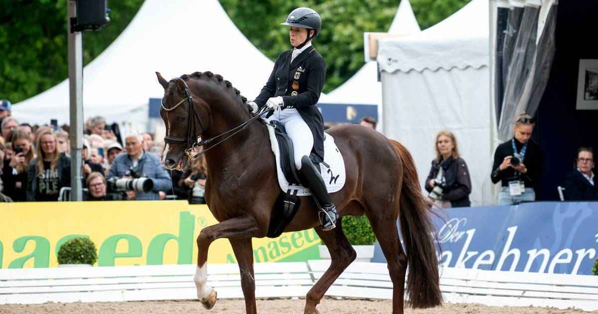 Werth dominiert in balve – legende schreibt sportgeschichte