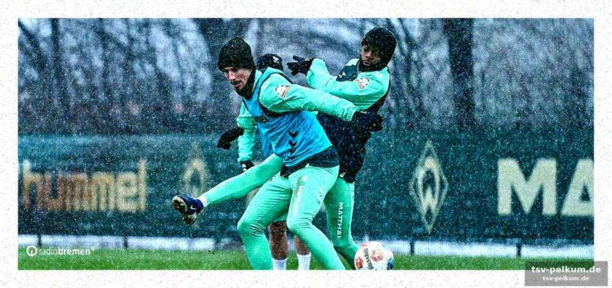 Werder bremen: absturz in der tabelle