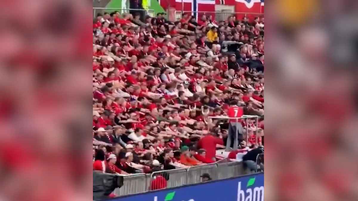 Wikinger-ruder begeistert: fan-choreo wird zum wm-hit!