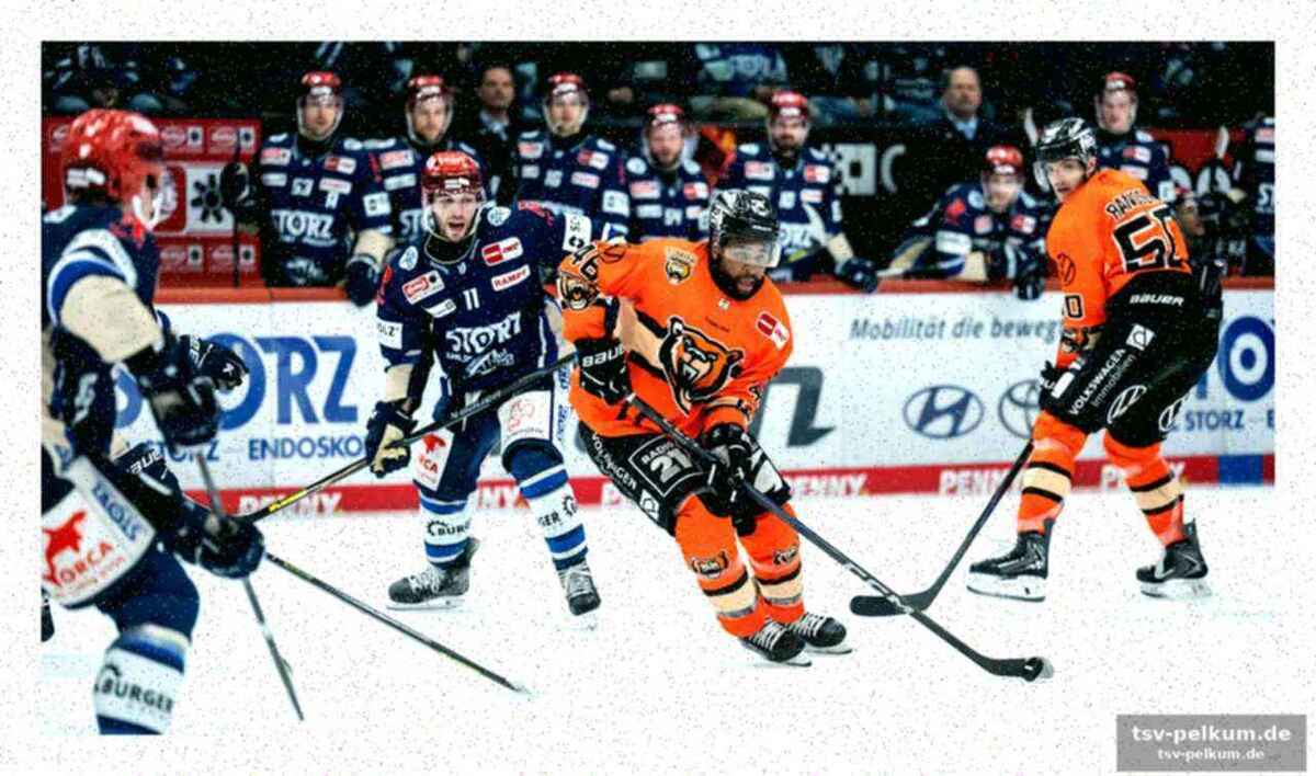 Haie warten – und haben den titel schon mal im koffer