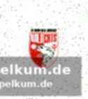 Die worte von felix gühlcke, sportlicher leiter
