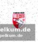 Entwicklungsschritte und spielintelligenz