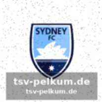 Wellington phoenix: viele chancen, wenig ertrag