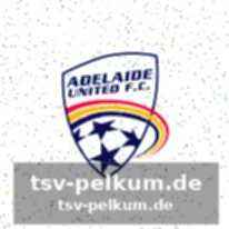 Brisbane roar: licht und schatten