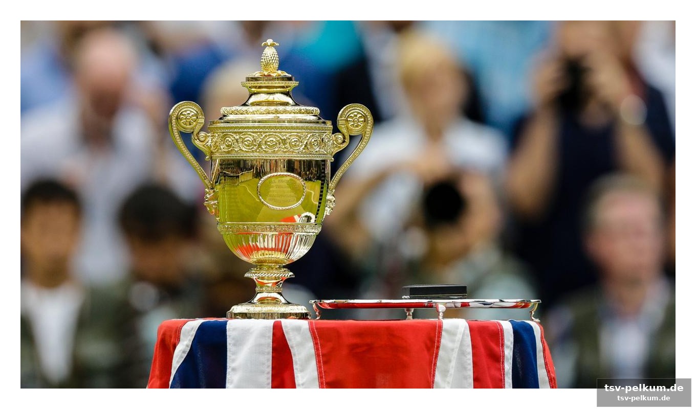 Zverev im fokus: kann er endlich den titel holen?