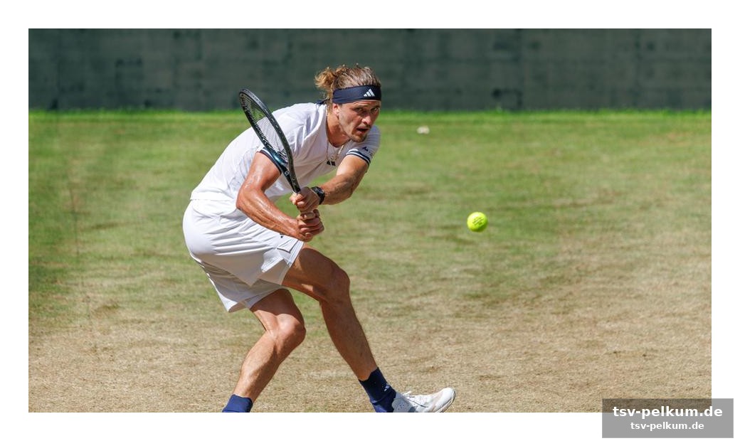 Preisgeld und fakten: wimbledon im überblick