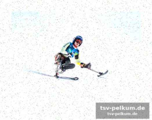 Skilanglauf: wenn ein team alle behinderungsgrade vereint