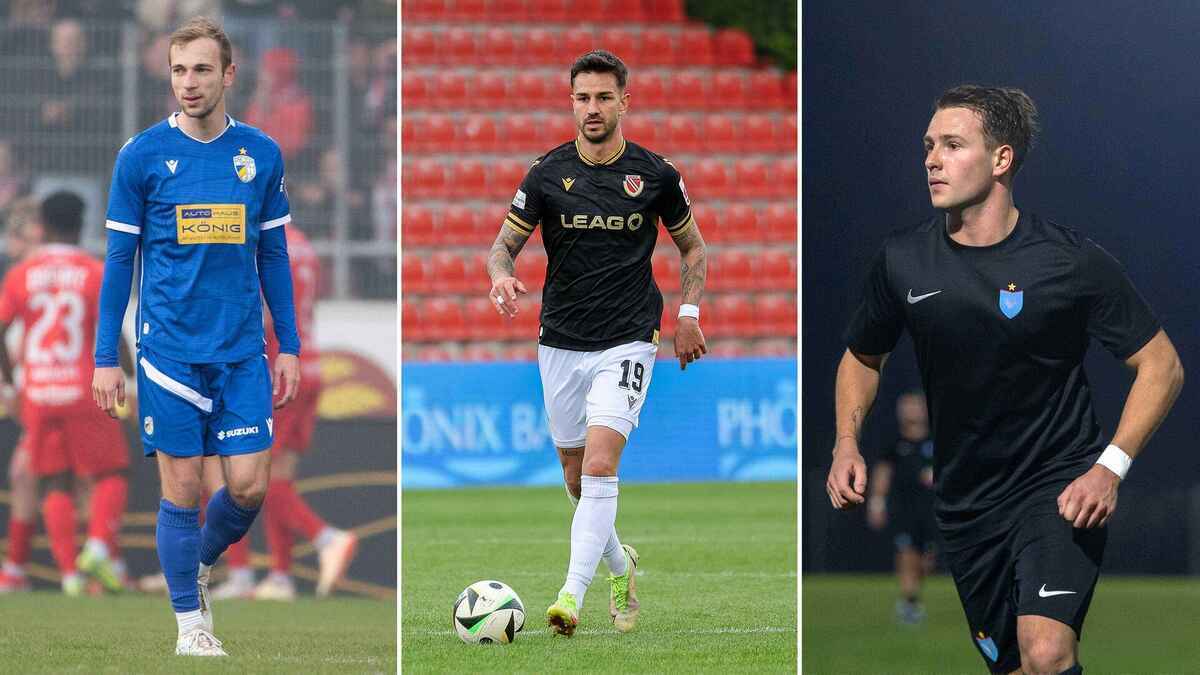 Wintertransferaktivitäten in mitteldeutschland: 17 neuzugänge in der regionalliga
