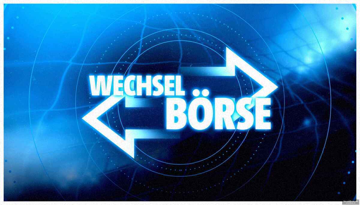 Borussia dortmund: verstärkung für das mittelfeld?