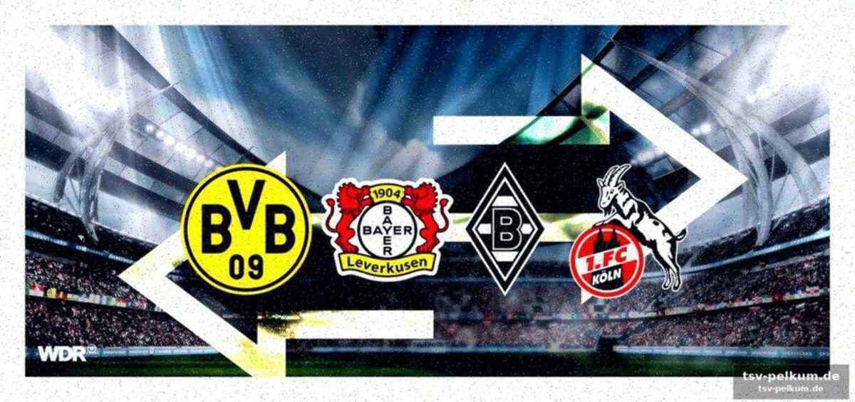 Bayer leverkusen: veränderungen im kader der werkself