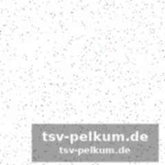 Datenklau aus wta-datenbank vermutet