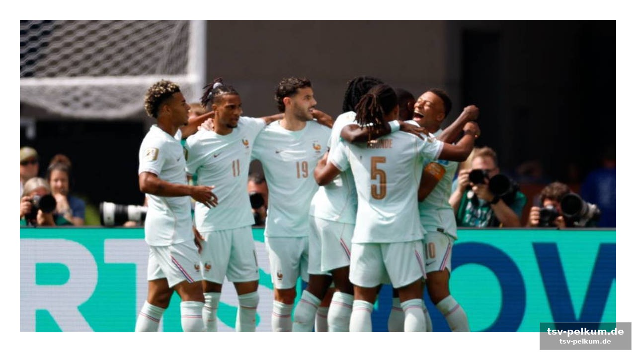 Frankreich gegen schweden: deschamps kehrt zurück, achtelfinal-duell mit deutschland möglich