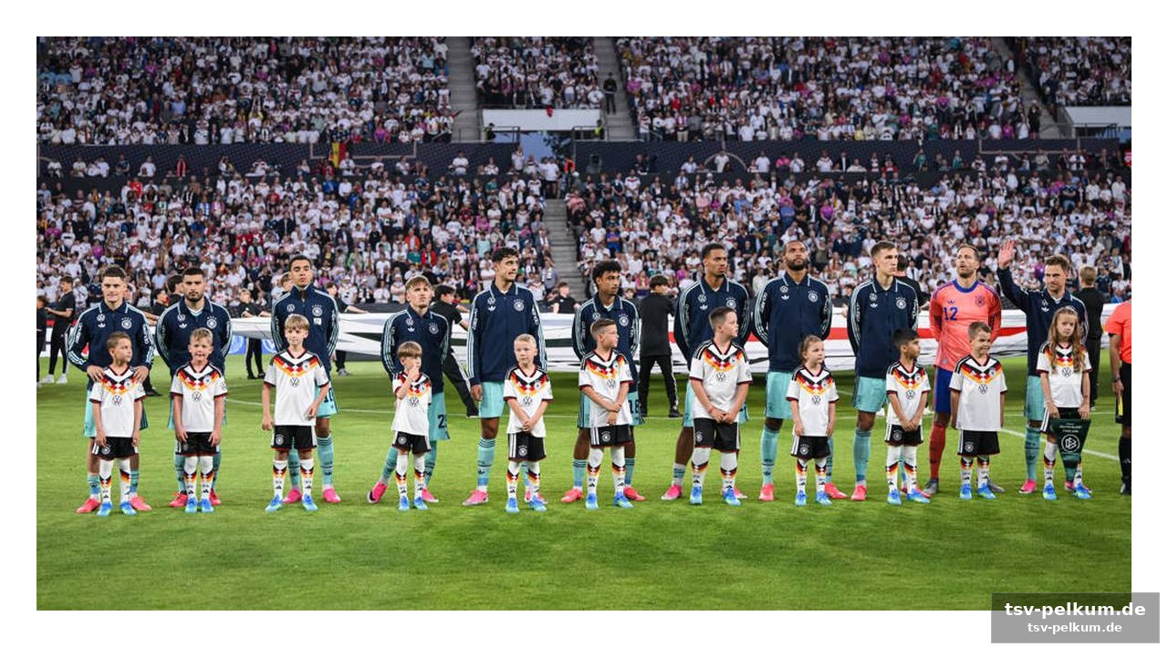 Ard und zdf bringen die highlights ins free-tv