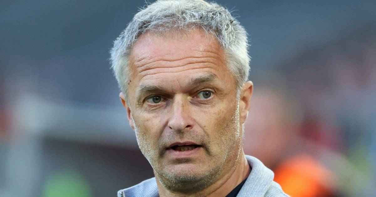 Wm-qualifikation abgeschlossen: wück rotiert vor dem abschlussspiel