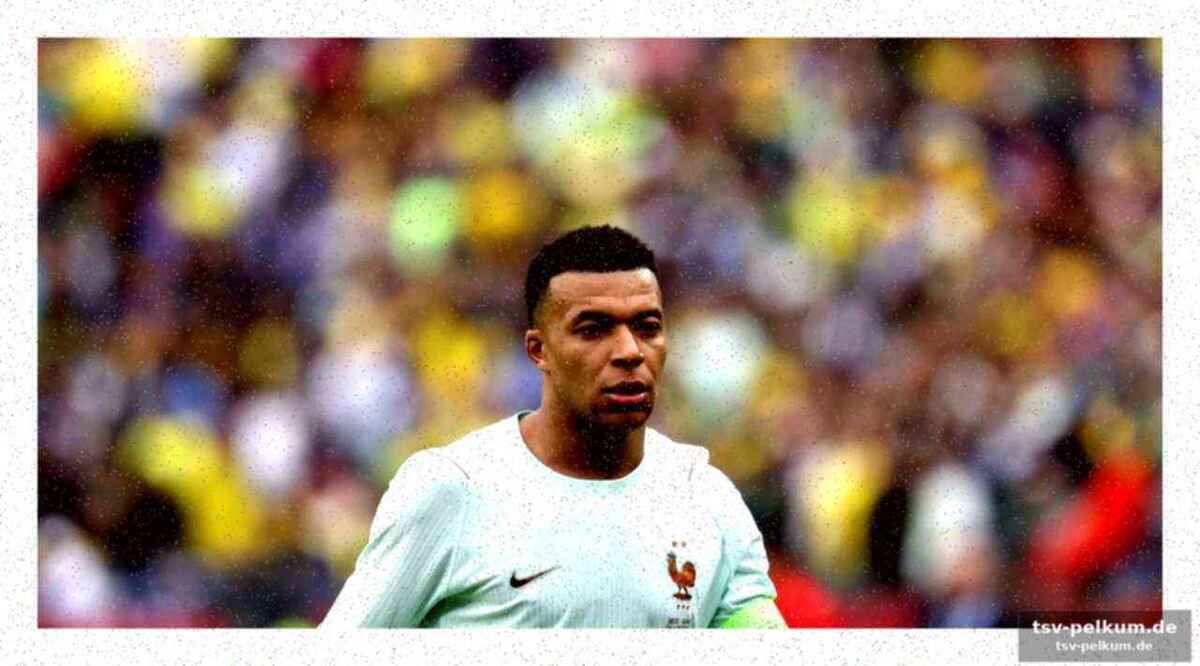 Die ninja-turtle-analogie: wenn stoff zum albtraum wird