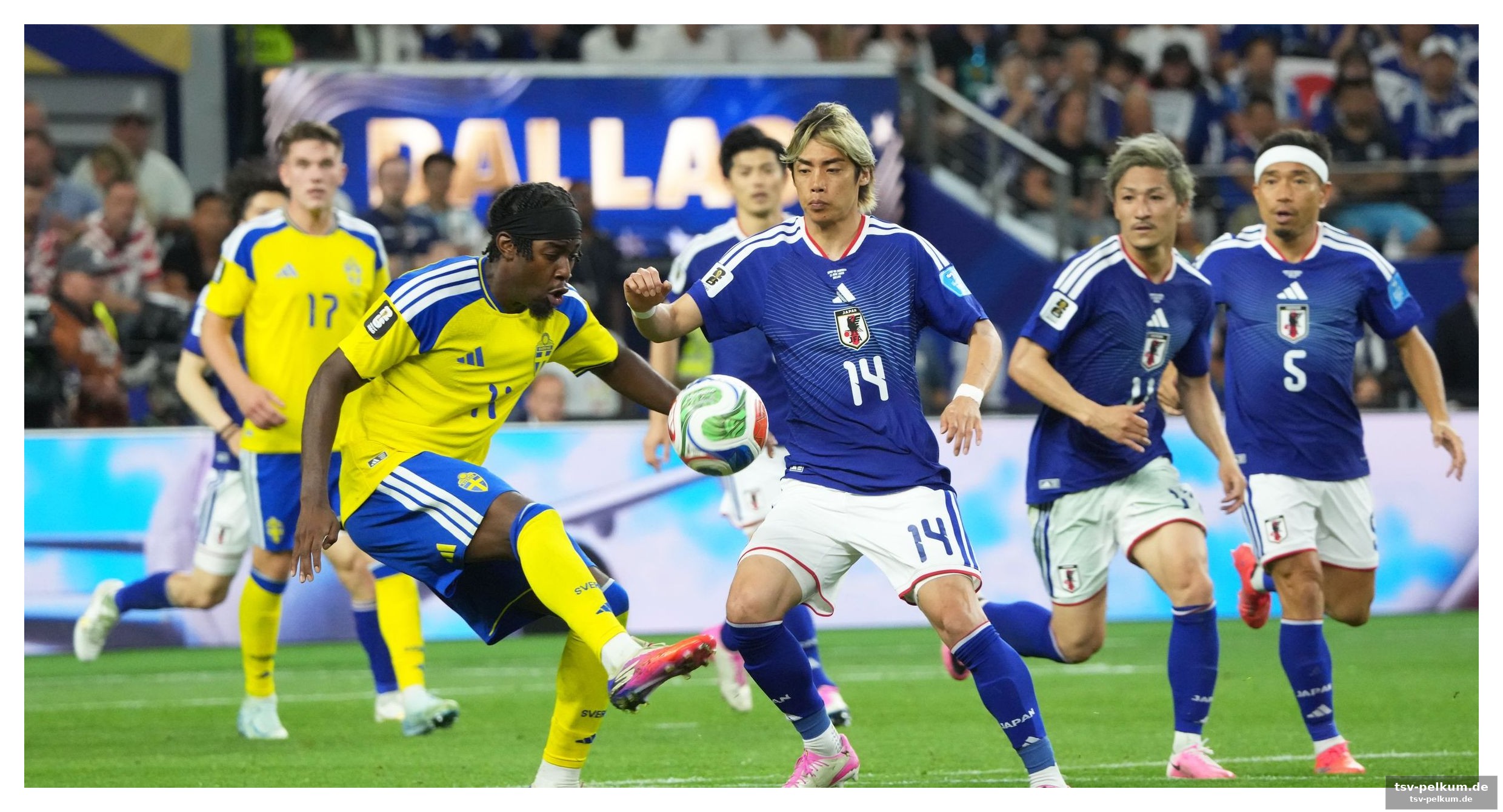 Maeda bringt japan in führung – elanga antwortet blitzschnell