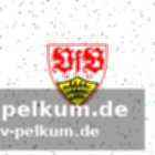 Erfolge sprechen für sich: von klassenerhalt bis pokalsieg