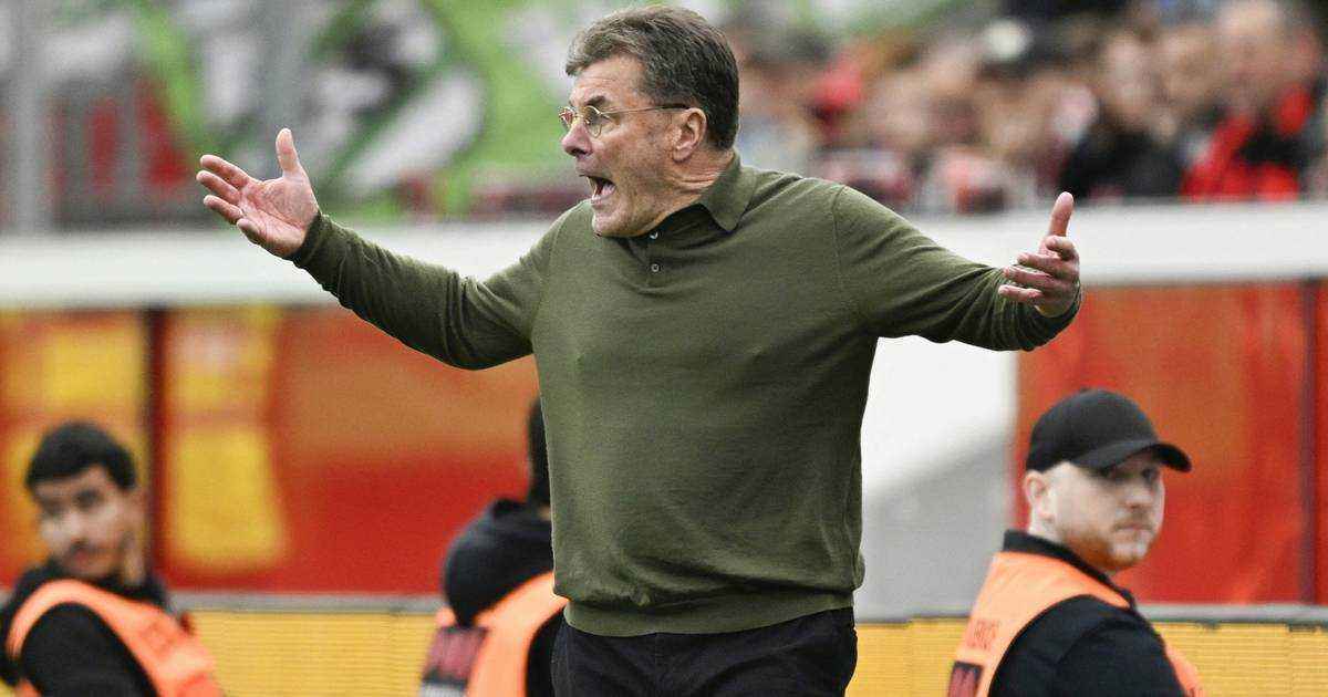 Wolfsburg am abgrund: hecking schießt gegen schiedsrichter – und seine mannschaft!