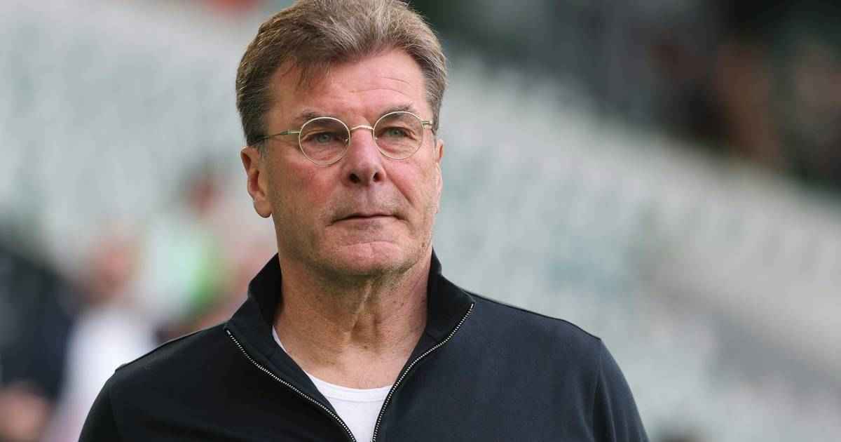 Wolfsburg am abgrund: saisonfinale wie ein k.o.-spiel!