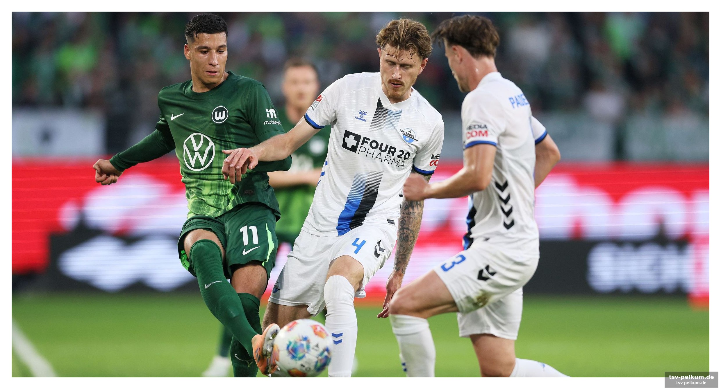 Fehlende kreativität und nervosität im spiel der wölfe