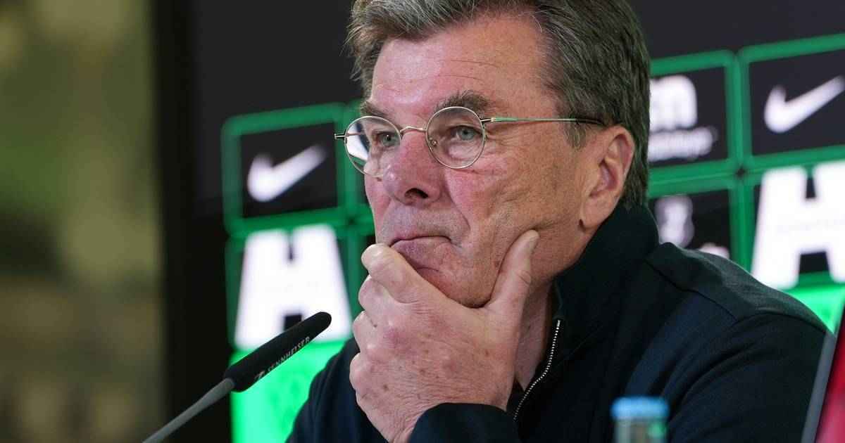 Wolfsburg: hecking explota nach remis – pejcinovic kühlen kopf bewahrt