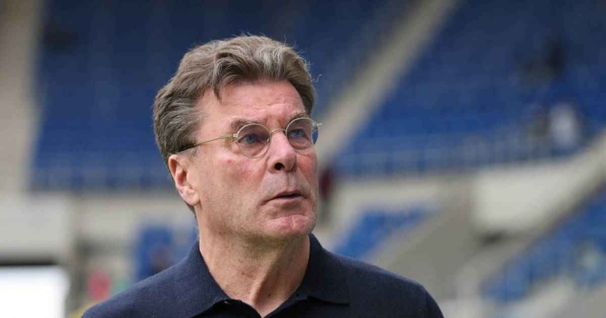 Wolfsburg: hecking warnt vor selbstgefälligkeit nach union-sieg!
