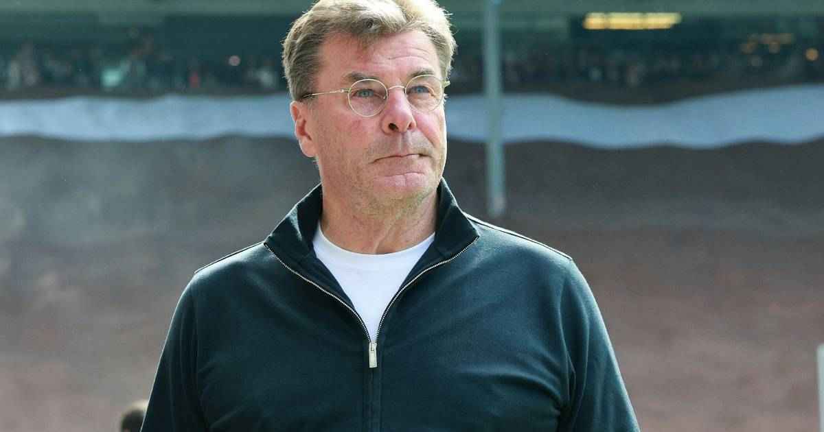Wolfsburg kämpft um die liga: hecking nach relegations-chance euphorisch